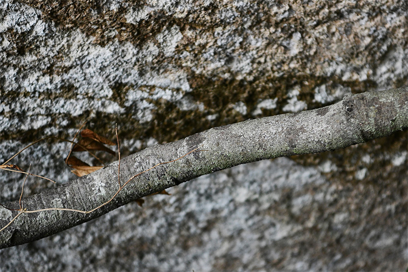 20241231165048_30624