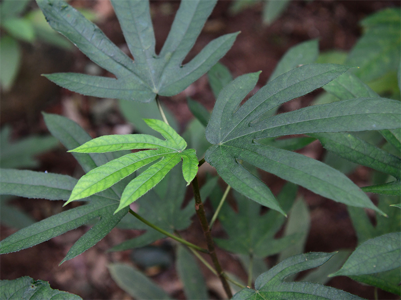 20241231164844_75559