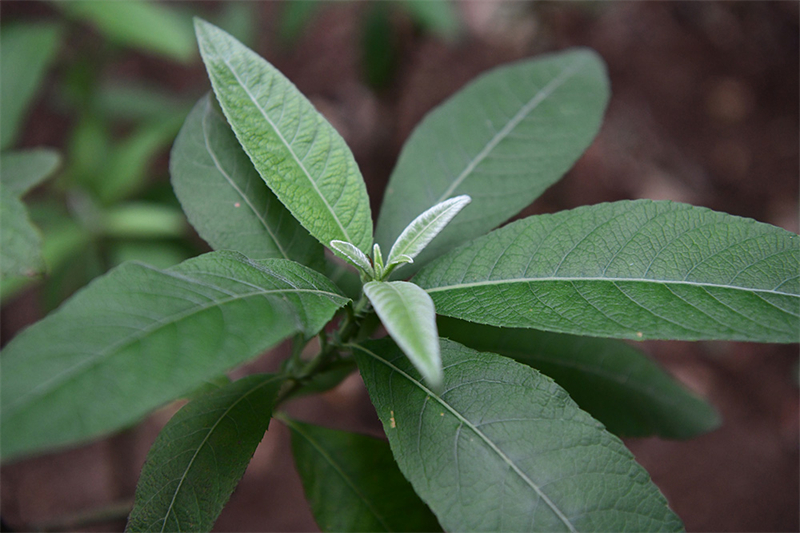 20241231165431_69216