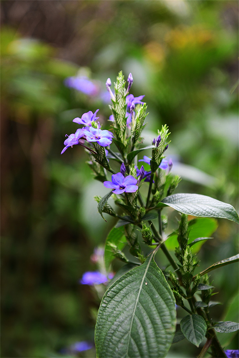 20241231165808_51680