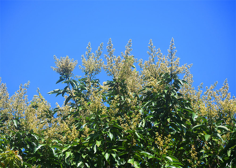 20250305211339_74242