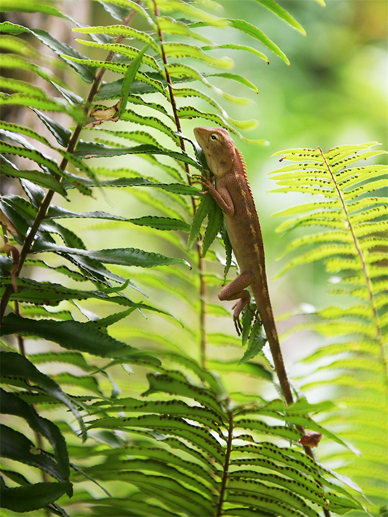 20250305211312_20343