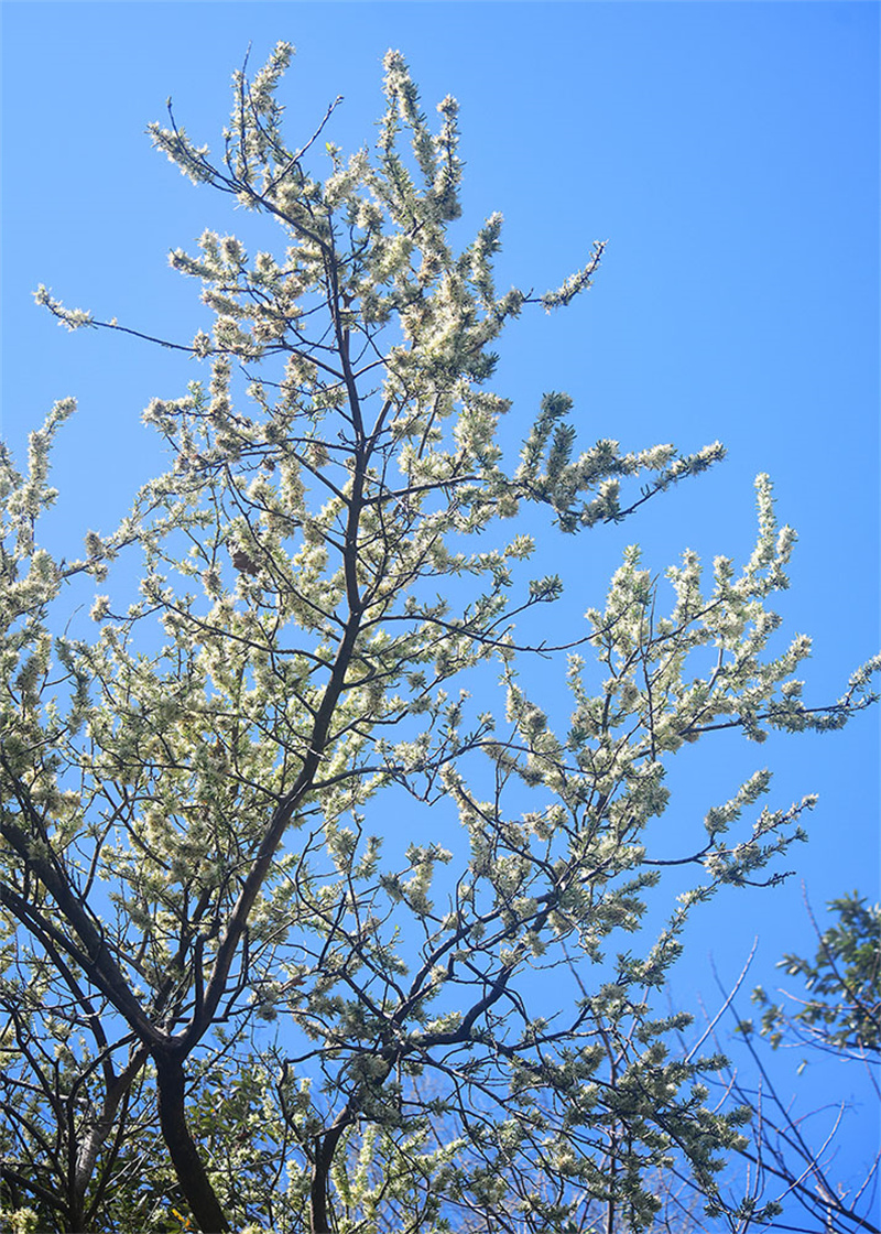 20250305211148_40075