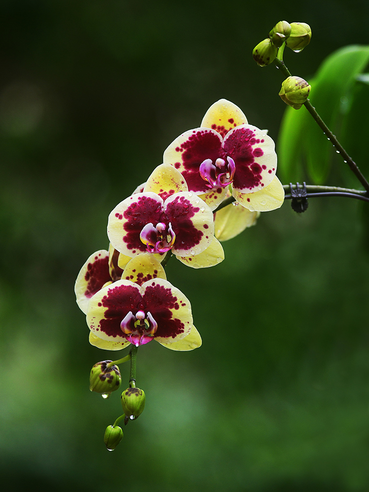 20250305211253_61908